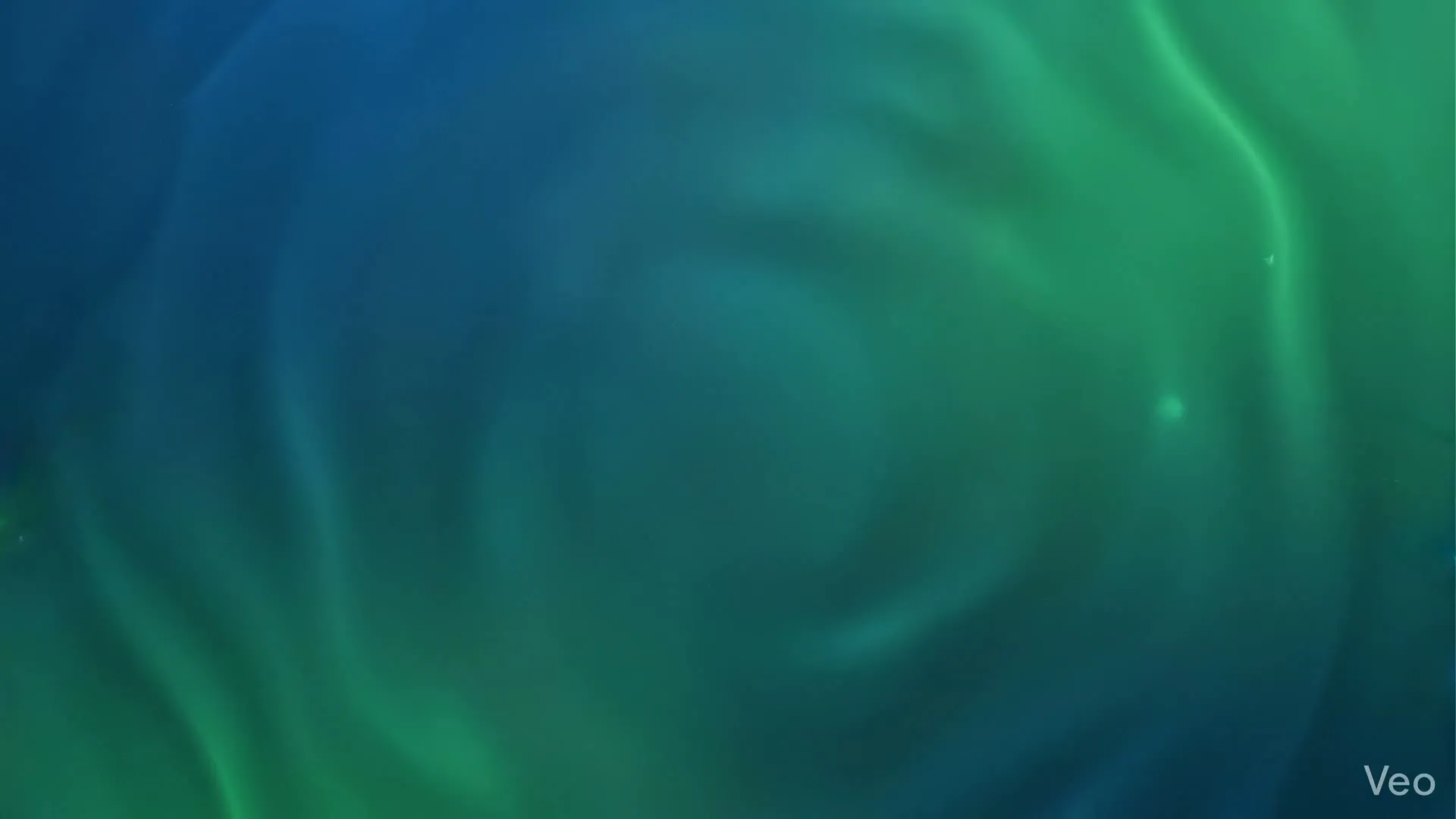 ParroPhins